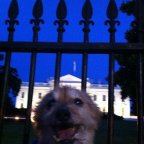 Save money doing taxes with Groupon Coupons