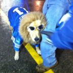 Tailgating in fine cocktail style at Detroit’s Ford Field [classic article]