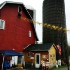 The honor system at work: raw milk sales at Dutchess County, NY’s Shunpike Dairy [classic article]