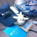 First class tasty Kosher treats, relaxation at El Al’s King David Lounge, JFK [classic article]