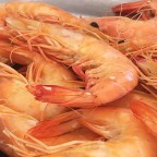 A perfect destination for seafood: Cascais, Portugal’s Mar do Inferno