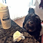 Glamour for your fur baby: Mettalusso More Cat + Dog Vegan Clean Beauty Cleansing Wipes