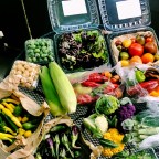 Cutting edge of fall veggies from The Chef’s Garden!